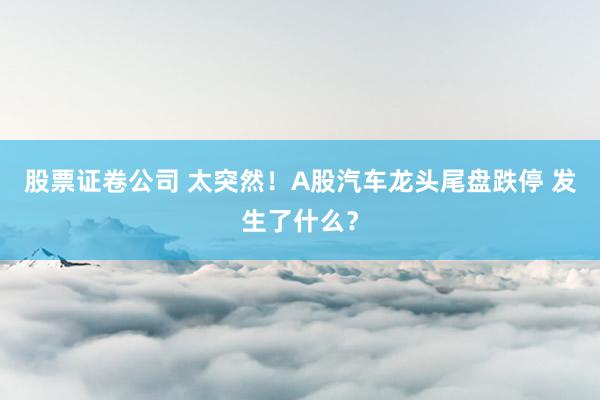 股票证卷公司 太突然！A股汽车龙头尾盘跌停 发生了什么？