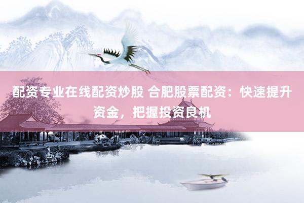 配资专业在线配资炒股 合肥股票配资：快速提升资金，把握投资良机